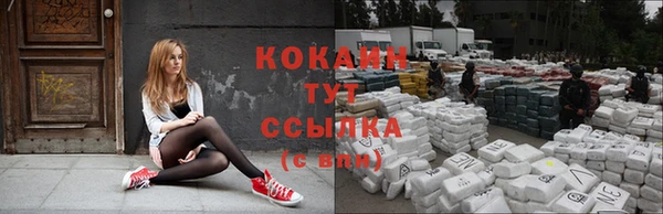 гашик Лиски