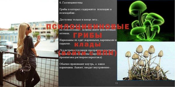 гашик Лиски
