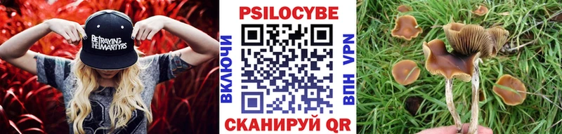 Псилоцибиновые грибы Magic Shrooms цена наркотик Шарыпово