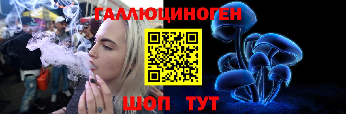 Шарыпово  Галлюциногенные грибы мицелий  Вход с VPN 